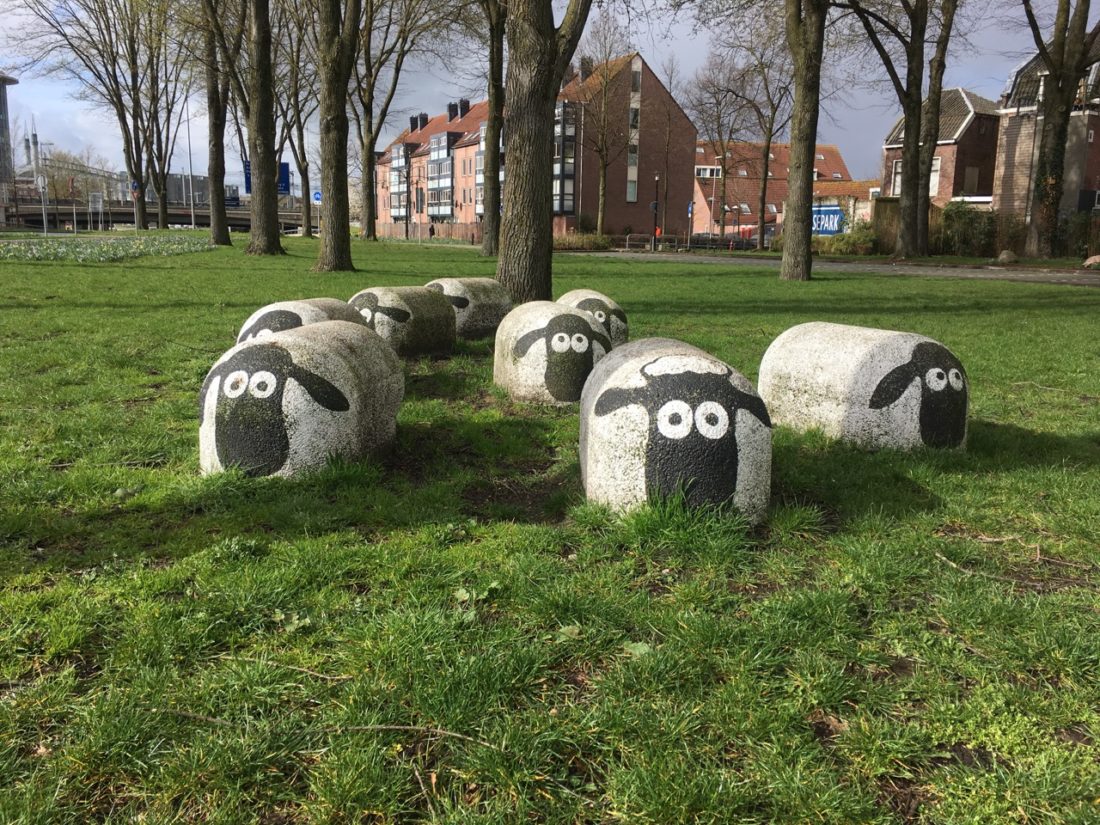 Een schot voor de boeg: Daalsepark - De Nuk