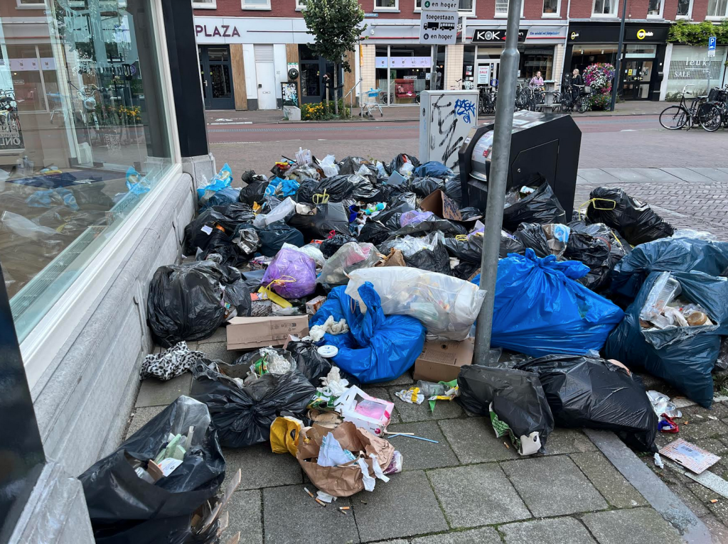 Het vuil, de stad en de meeuwen - De Nuk